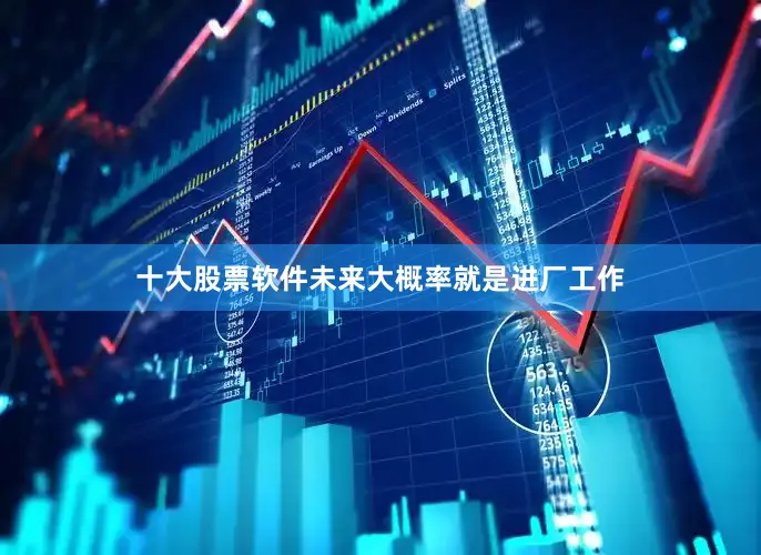 十大股票软件未来大概率就是进厂工作