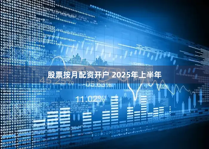 股票按月配资开户 　　2025年上半年