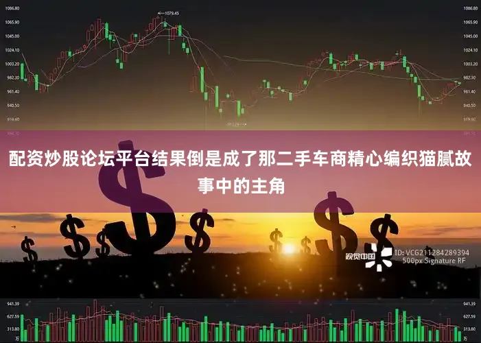 配资炒股论坛平台结果倒是成了那二手车商精心编织猫腻故事中的主角