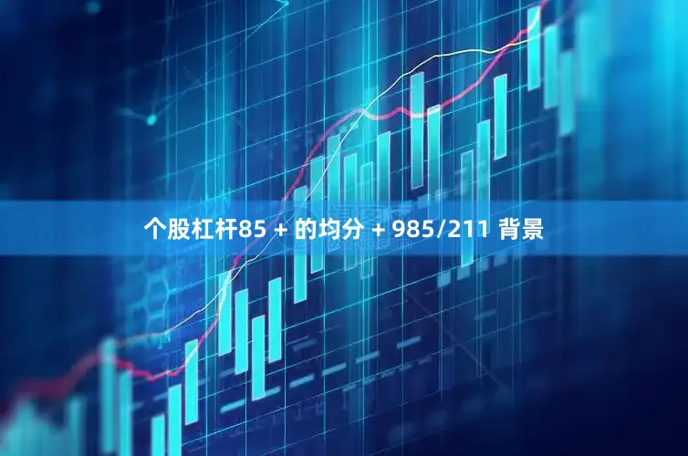 个股杠杆85 + 的均分 + 985/211 背景