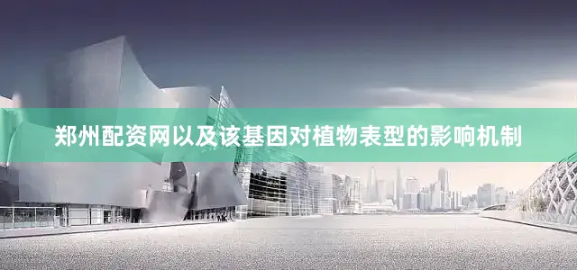 郑州配资网以及该基因对植物表型的影响机制