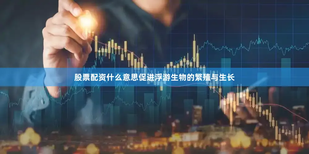 股票配资什么意思促进浮游生物的繁殖与生长