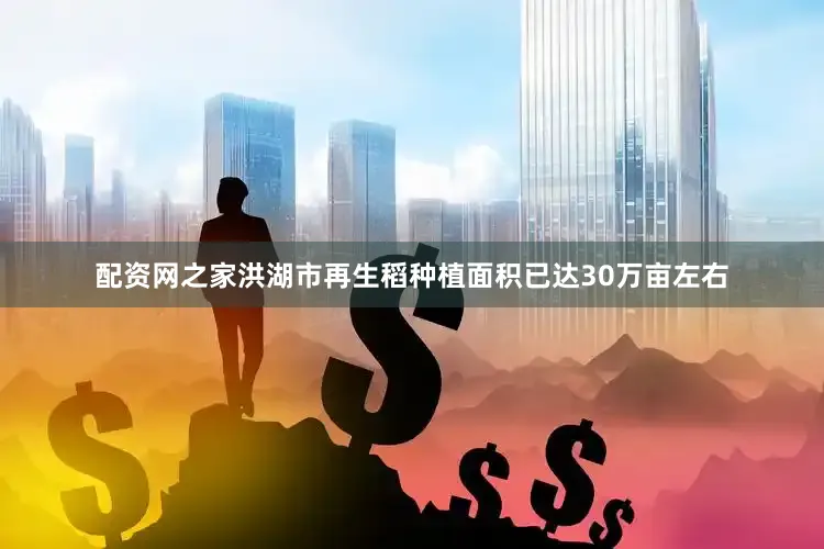 配资网之家洪湖市再生稻种植面积已达30万亩左右